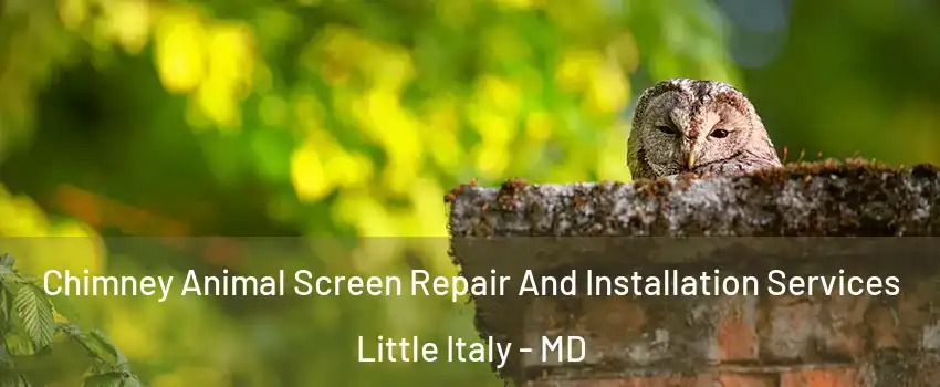 Chimney Animal Screen Repair And Installation Services Little Italy - MD