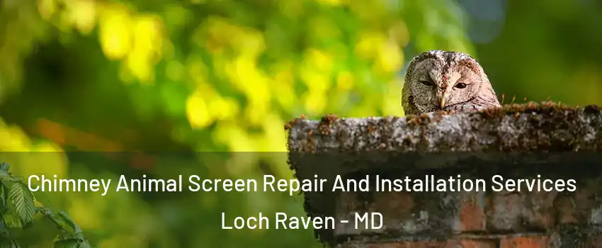 Chimney Animal Screen Repair And Installation Services Loch Raven - MD