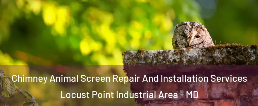 Chimney Animal Screen Repair And Installation Services Locust Point Industrial Area - MD