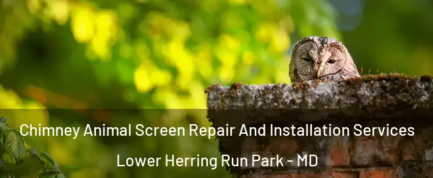 Chimney Animal Screen Repair And Installation Services Lower Herring Run Park - MD