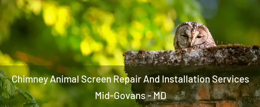 Chimney Animal Screen Repair And Installation Services Mid-Govans - MD