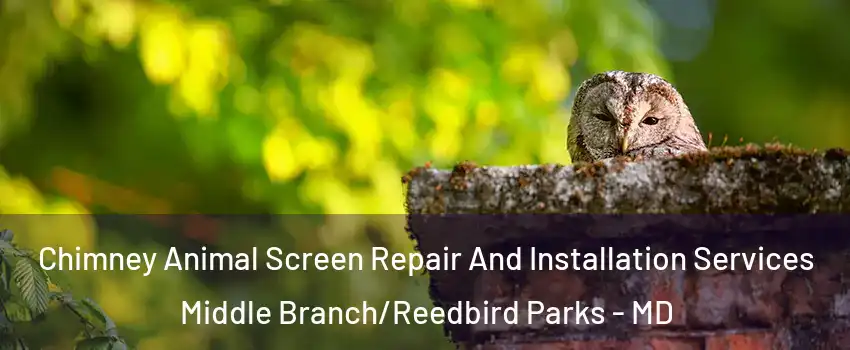 Chimney Animal Screen Repair And Installation Services Middle Branch/Reedbird Parks - MD