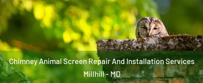 Chimney Animal Screen Repair And Installation Services Millhill - MD