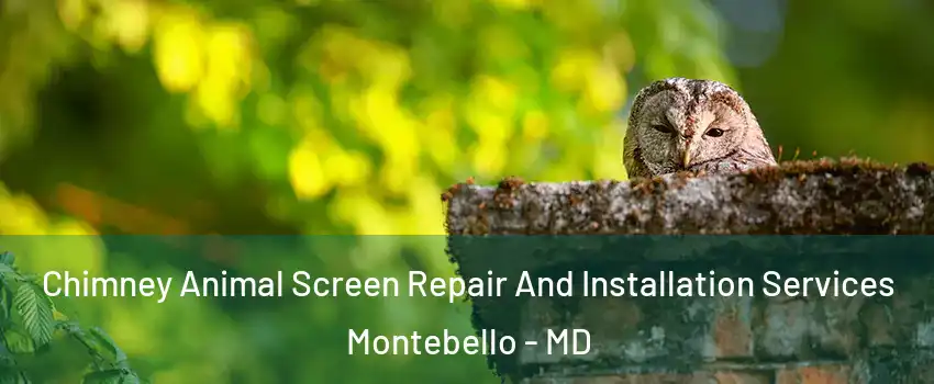 Chimney Animal Screen Repair And Installation Services Montebello - MD