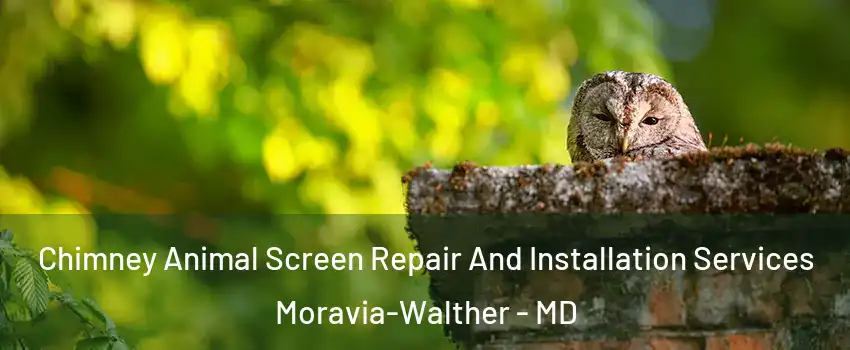Chimney Animal Screen Repair And Installation Services Moravia-Walther - MD