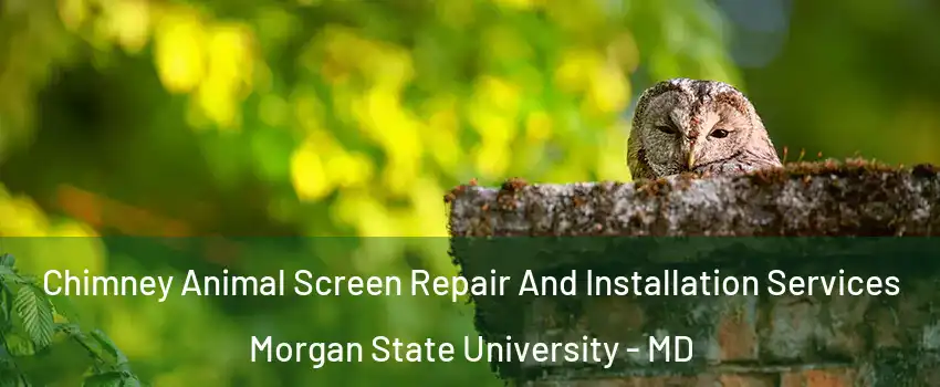 Chimney Animal Screen Repair And Installation Services Morgan State University - MD