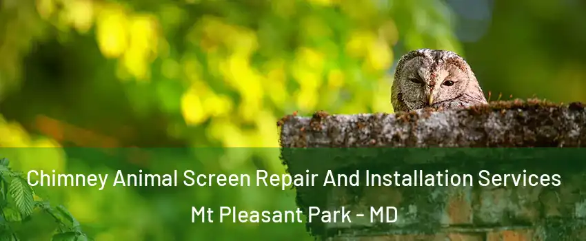Chimney Animal Screen Repair And Installation Services Mt Pleasant Park - MD