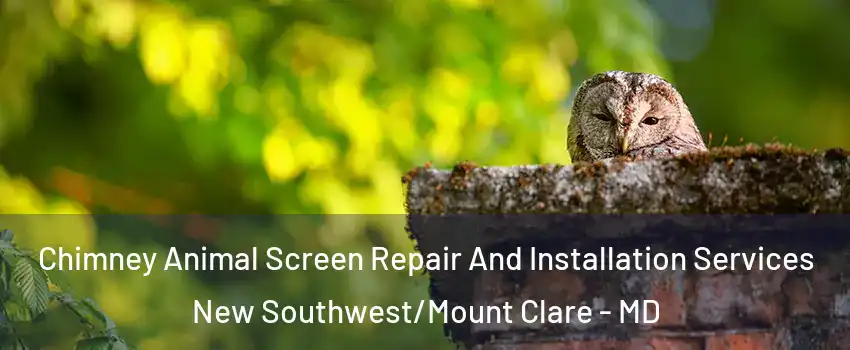 Chimney Animal Screen Repair And Installation Services New Southwest/Mount Clare - MD
