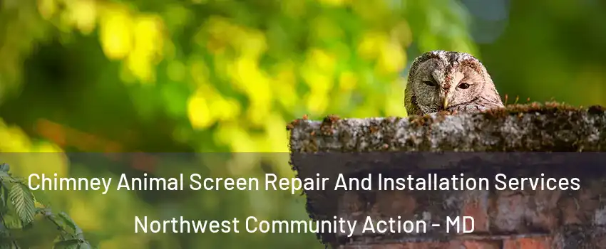 Chimney Animal Screen Repair And Installation Services Northwest Community Action - MD