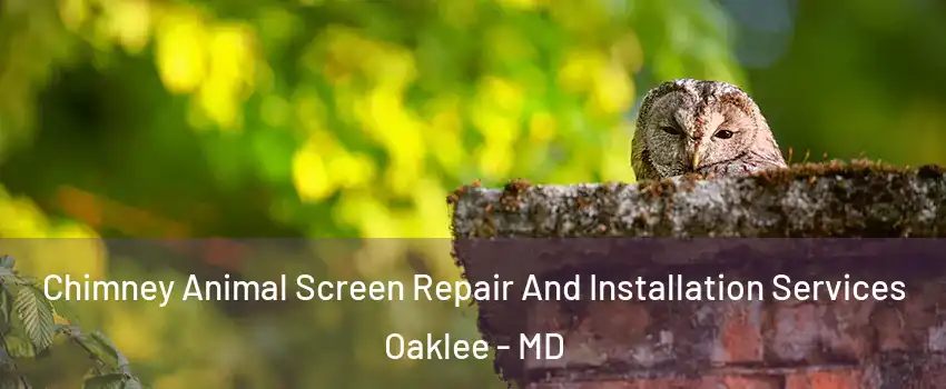 Chimney Animal Screen Repair And Installation Services Oaklee - MD