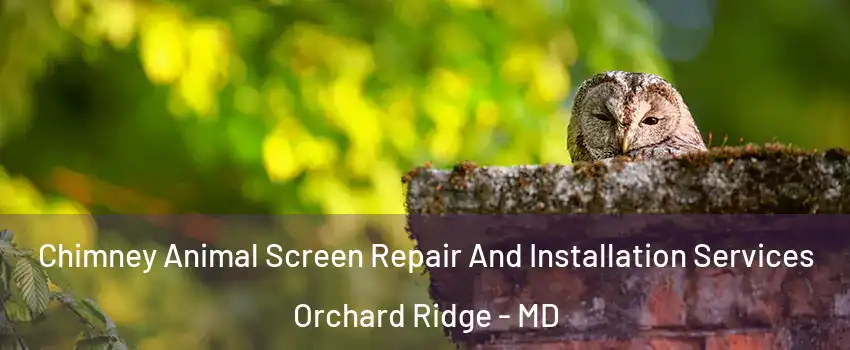 Chimney Animal Screen Repair And Installation Services Orchard Ridge - MD