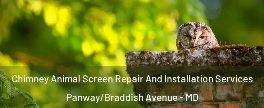 Chimney Animal Screen Repair And Installation Services Panway/Braddish Avenue - MD