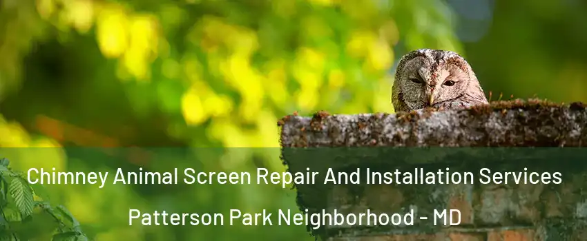 Chimney Animal Screen Repair And Installation Services Patterson Park Neighborhood - MD