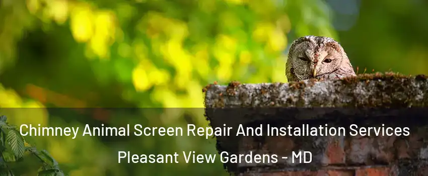 Chimney Animal Screen Repair And Installation Services Pleasant View Gardens - MD