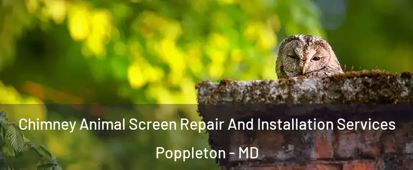 Chimney Animal Screen Repair And Installation Services Poppleton - MD