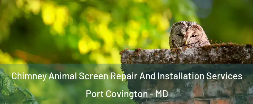 Chimney Animal Screen Repair And Installation Services Port Covington - MD