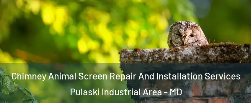 Chimney Animal Screen Repair And Installation Services Pulaski Industrial Area - MD