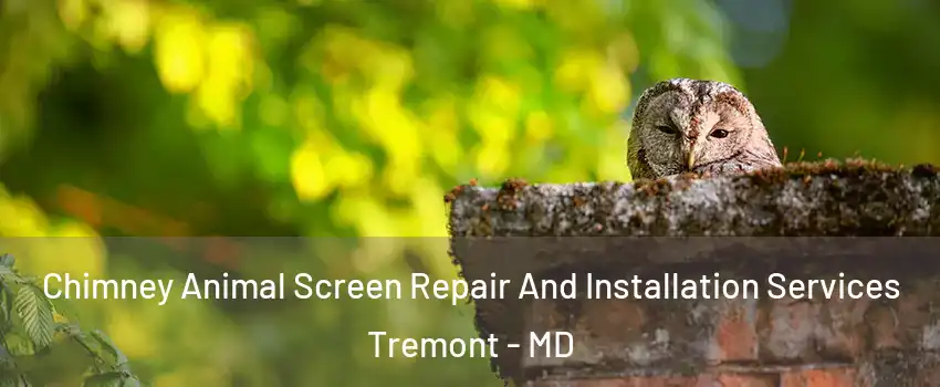 Chimney Animal Screen Repair And Installation Services Tremont - MD