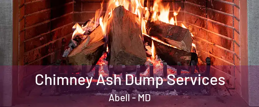 Chimney Ash Dump Services Abell - MD
