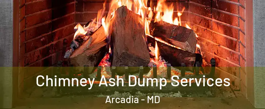 Chimney Ash Dump Services Arcadia - MD