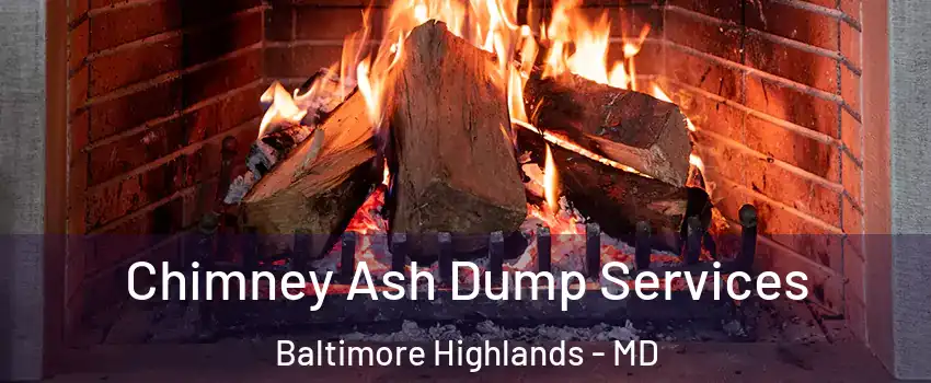 Chimney Ash Dump Services Baltimore Highlands - MD