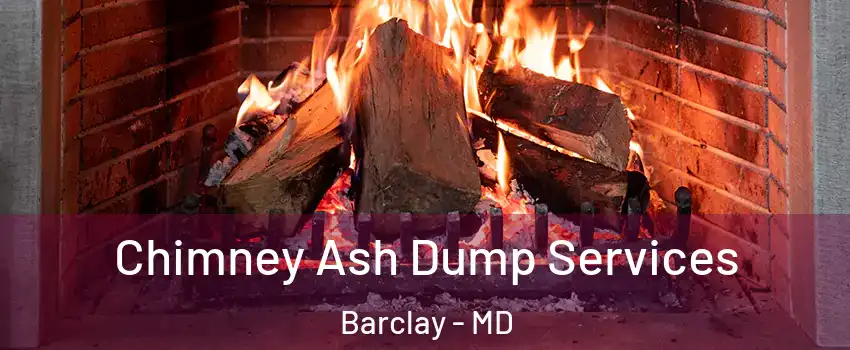 Chimney Ash Dump Services Barclay - MD