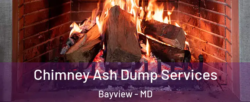 Chimney Ash Dump Services Bayview - MD