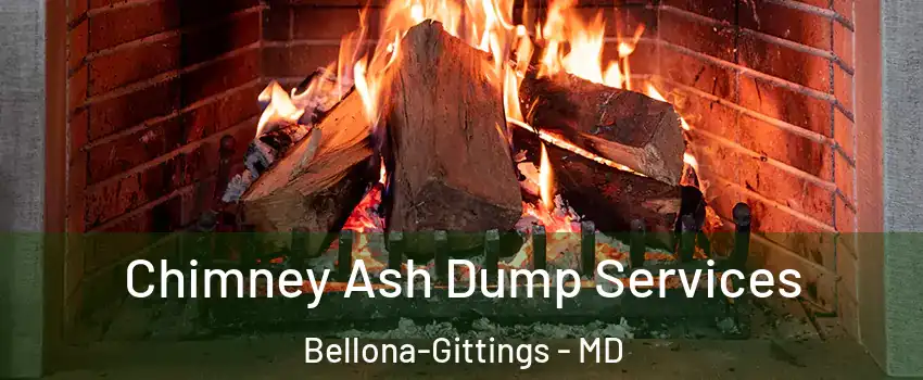 Chimney Ash Dump Services Bellona-Gittings - MD