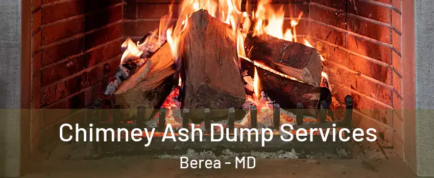 Chimney Ash Dump Services Berea - MD