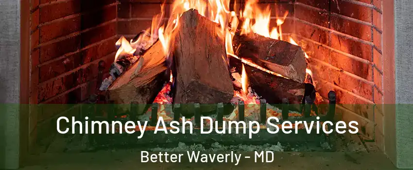 Chimney Ash Dump Services Better Waverly - MD