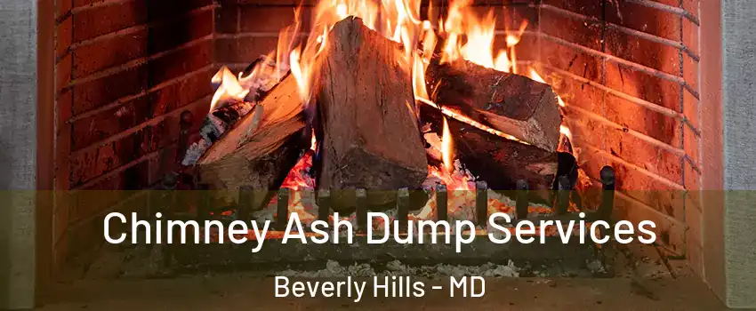 Chimney Ash Dump Services Beverly Hills - MD