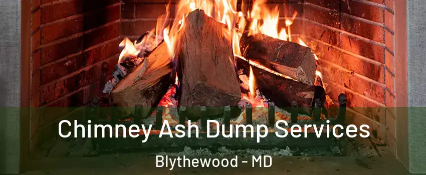 Chimney Ash Dump Services Blythewood - MD