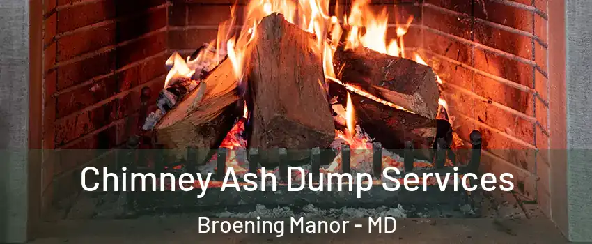 Chimney Ash Dump Services Broening Manor - MD