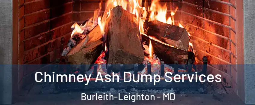 Chimney Ash Dump Services Burleith-Leighton - MD