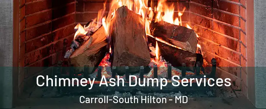 Chimney Ash Dump Services Carroll-South Hilton - MD