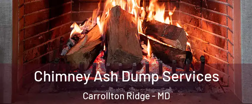 Chimney Ash Dump Services Carrollton Ridge - MD
