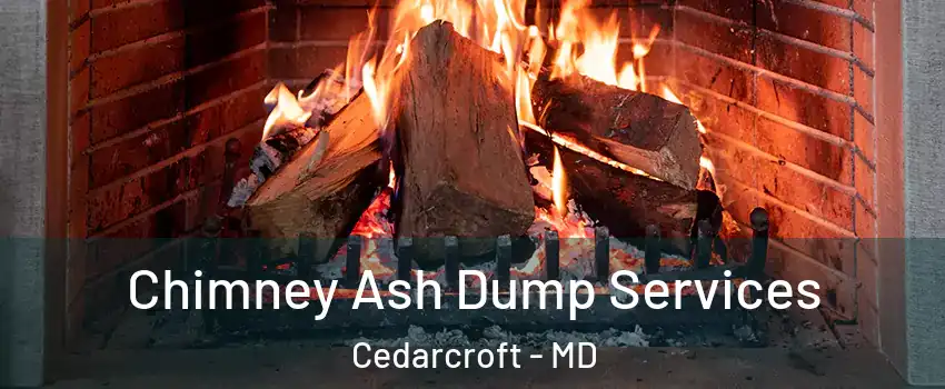 Chimney Ash Dump Services Cedarcroft - MD