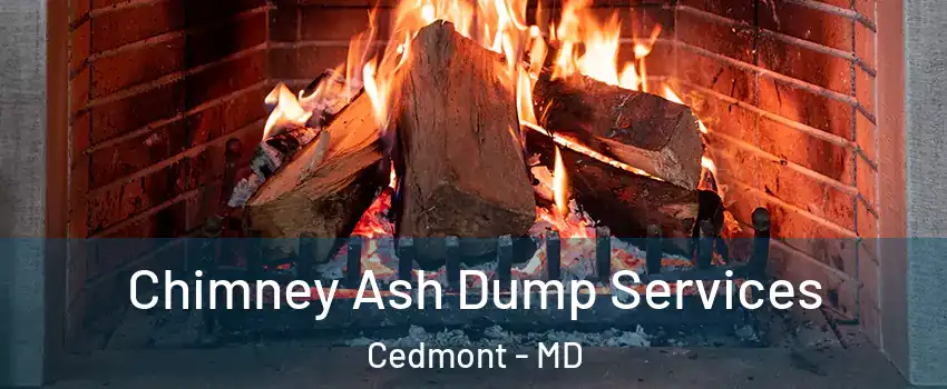 Chimney Ash Dump Services Cedmont - MD
