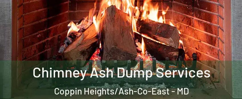 Chimney Ash Dump Services Coppin Heights/Ash-Co-East - MD