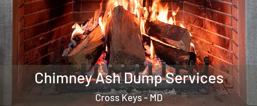 Chimney Ash Dump Services Cross Keys - MD