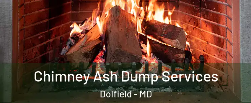 Chimney Ash Dump Services Dolfield - MD