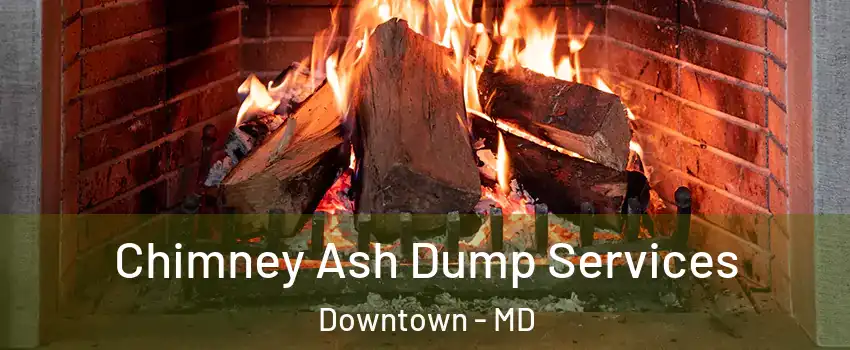 Chimney Ash Dump Services Downtown - MD