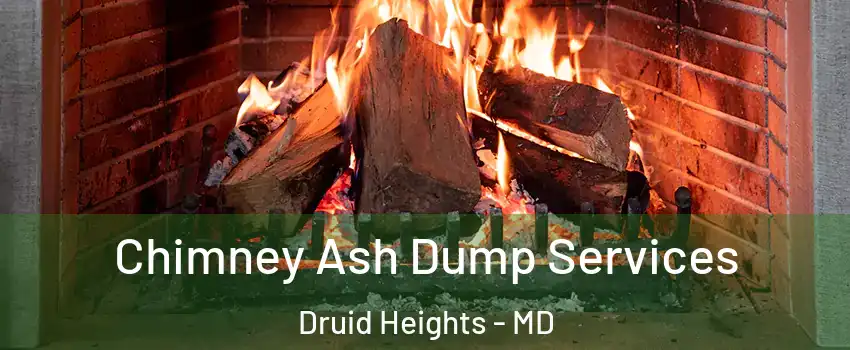 Chimney Ash Dump Services Druid Heights - MD