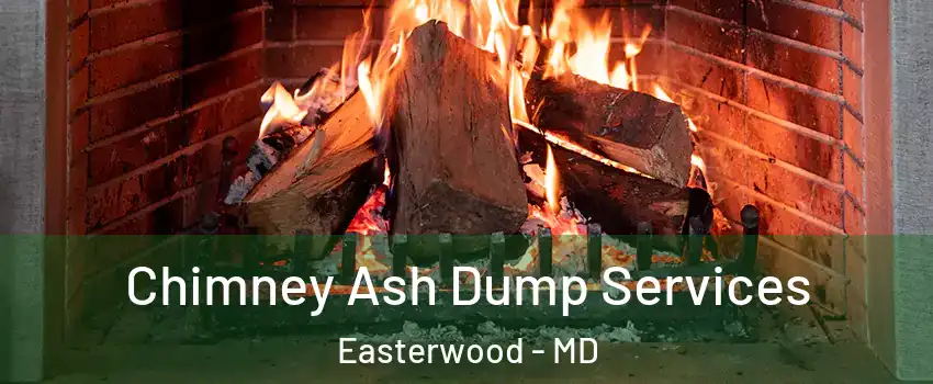 Chimney Ash Dump Services Easterwood - MD