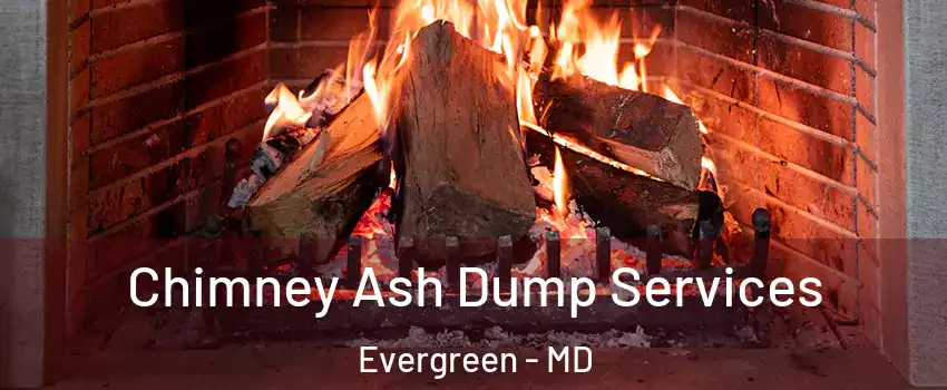Chimney Ash Dump Services Evergreen - MD