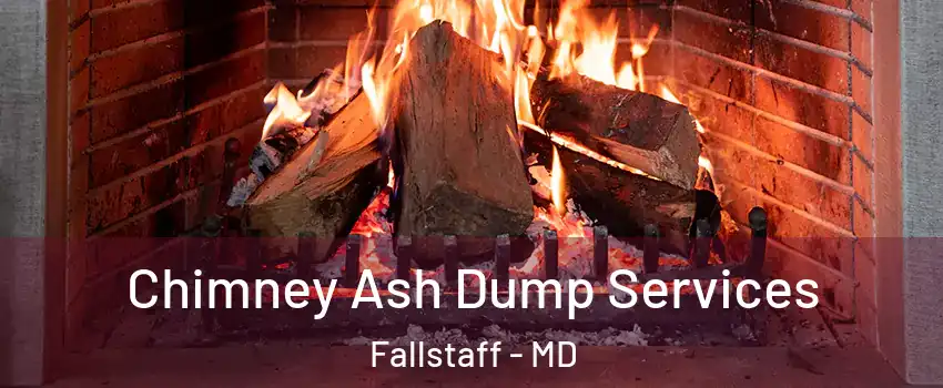 Chimney Ash Dump Services Fallstaff - MD