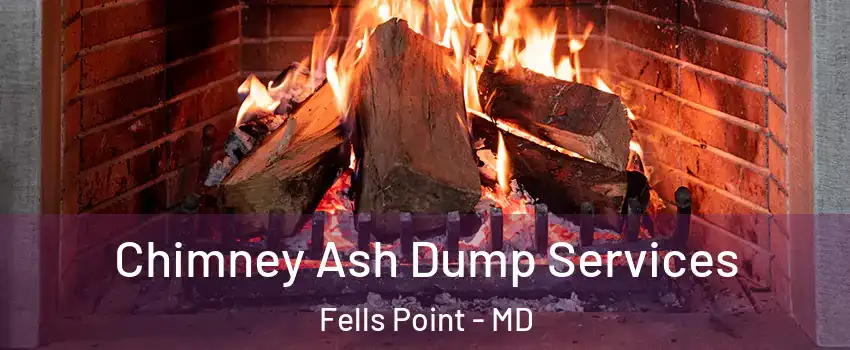 Chimney Ash Dump Services Fells Point - MD