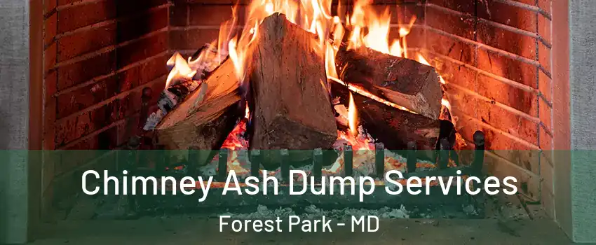 Chimney Ash Dump Services Forest Park - MD