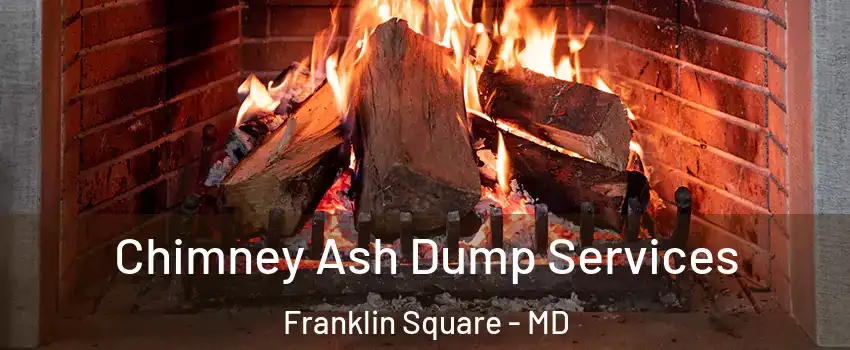 Chimney Ash Dump Services Franklin Square - MD