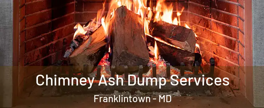 Chimney Ash Dump Services Franklintown - MD